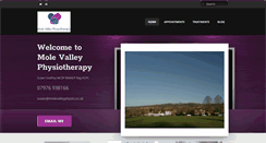 Desktop Screenshot of molevalleyphysio.co.uk